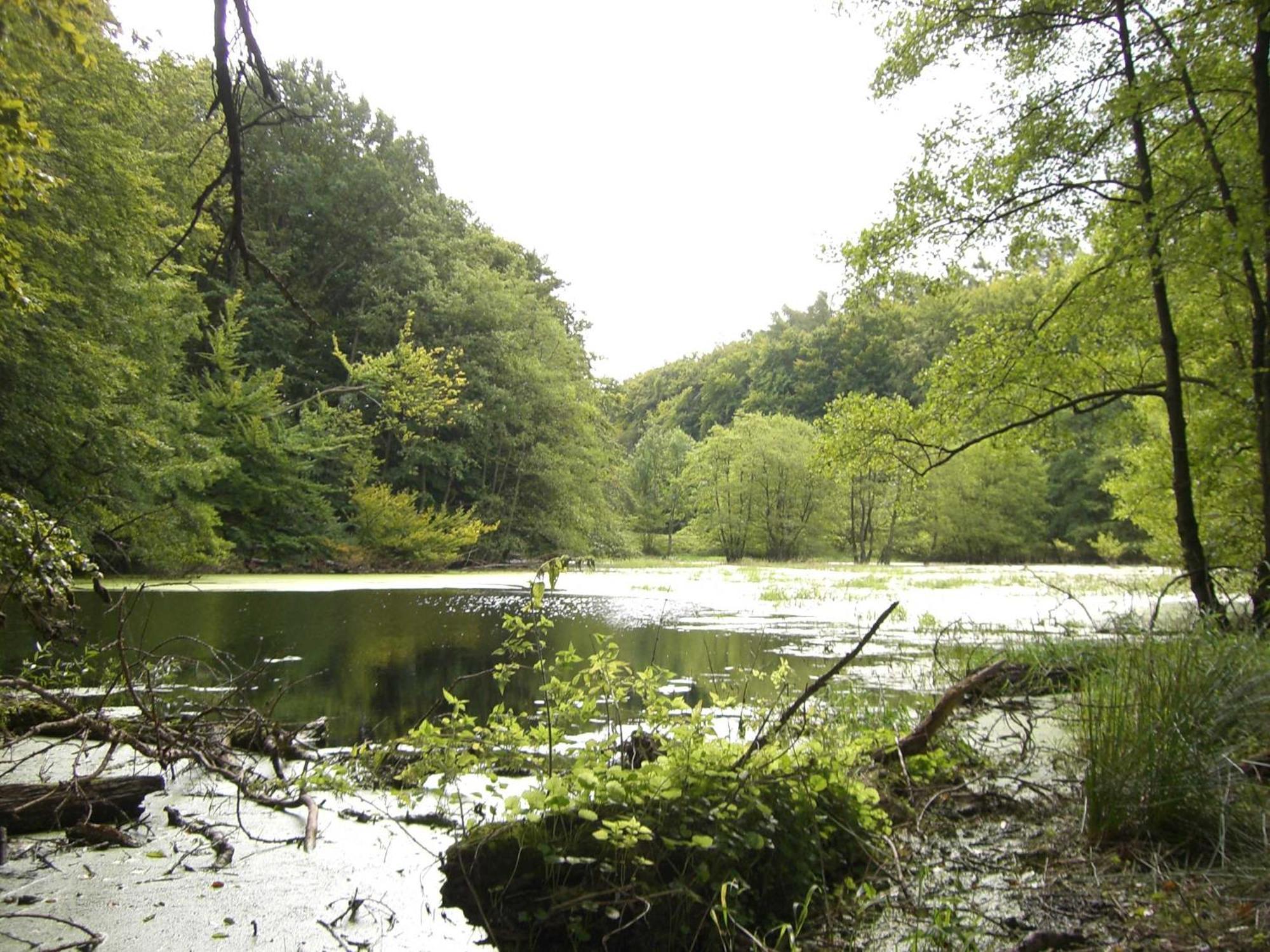 Appartementhaus Sonnenbad App 04 Sassnitz Kültér fotó